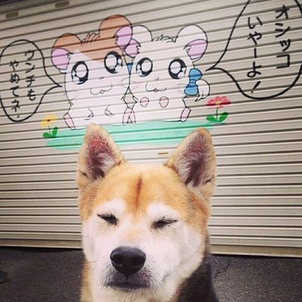 女足世界杯中国队分组出炉备战全面启动,中国女足世界杯阵容