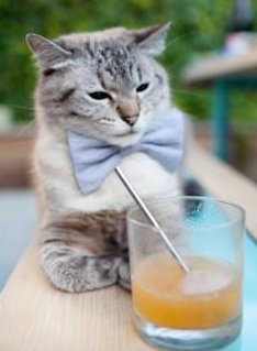 76人球员穿着复古球衣训练引发怀旧情绪，76人的球衣